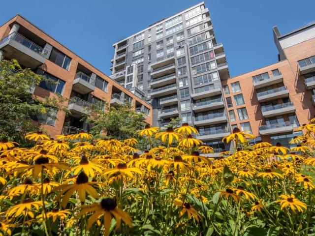 Apartment for rent in Ville-Marie, Montréal