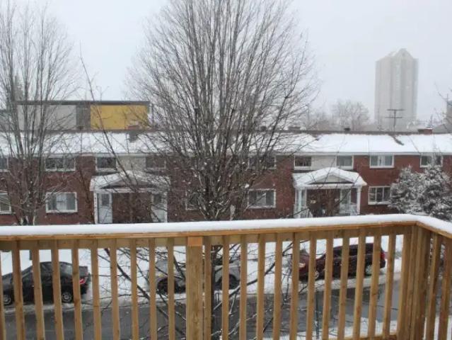 Apartment for rent in Mulhurst Bay, Ontario