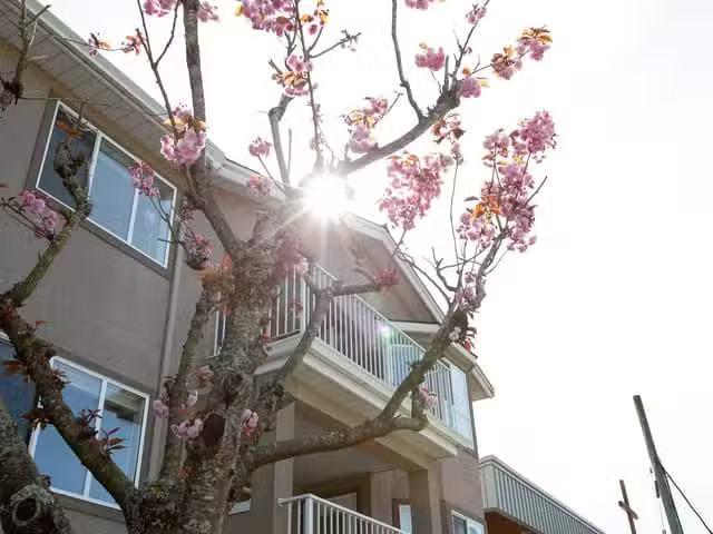 Condo for sale in Sechelt, British Columbia