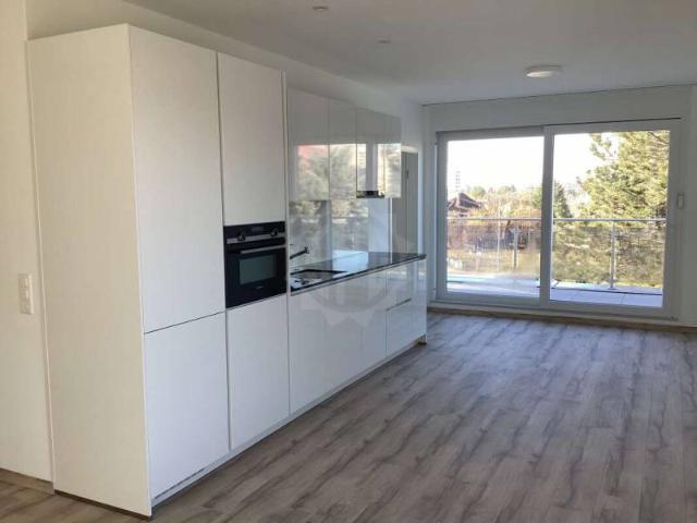 Apartment mieten in Lancy