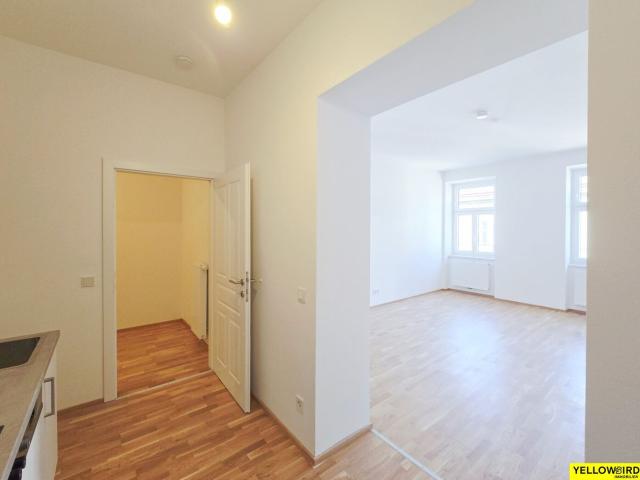 Wohnung kaufen in Seestadt, Wien