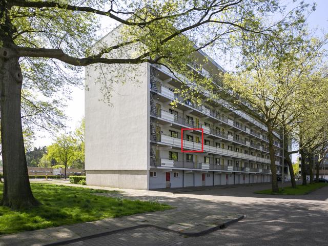 Appartement te huur in Wandelbos, Tilburg