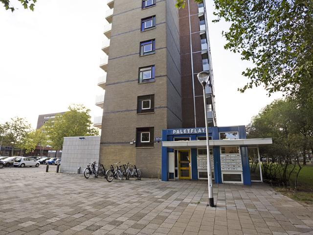 Appartement te huur in Wandelbos, Tilburg