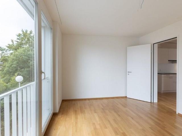 Apartment mieten in Menziken, Aargau