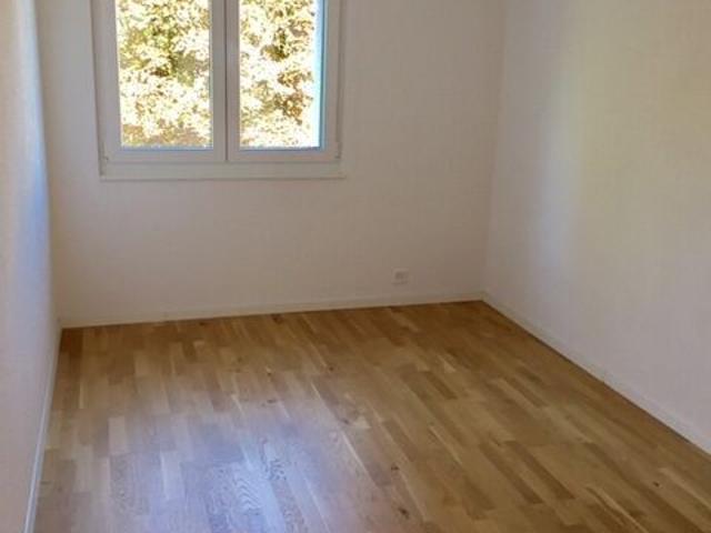 Apartment mieten in Widen, Aargau