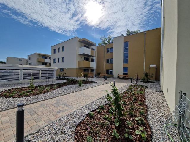Apartment mieten in Eisenstadt