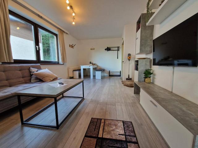 Apartment kaufen in Bad Goisern am Hallstättersee
