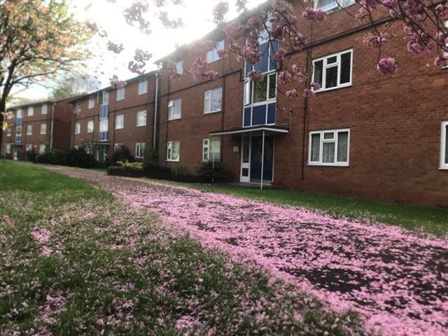 Apartment for rent in Tettenhall, West Midlands