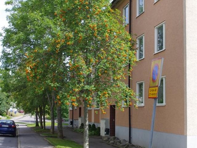 Lägenhet hyra i Nyhem, Finspång