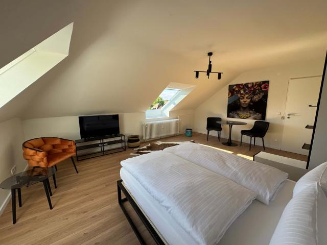 Apartment mieten in Freiburg, Wiehre