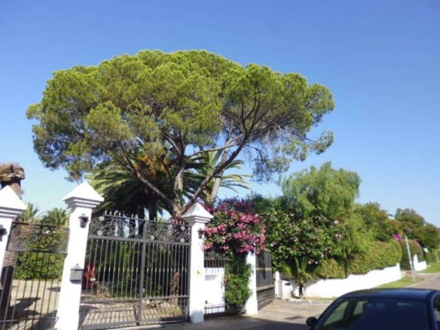 Apartamento en alquiler en Guadalmina, Costa del Sol Occidental