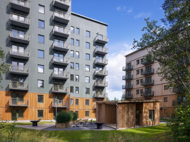 Lägenhet hyra i Skellefteå, Västerbotten