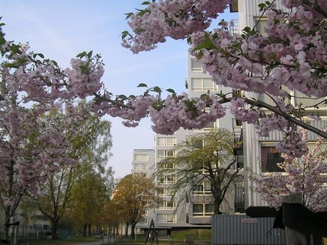 Lägenhet hyra i Norrby, Borås