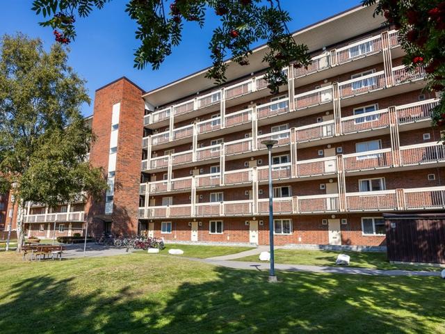 Lägenhet hyra i Norrköping, Östergötland