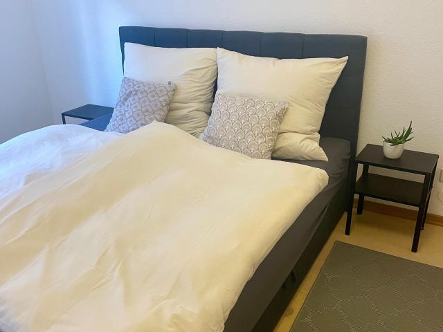 Apartment mieten in Walldürn-Stadt, Walldürn