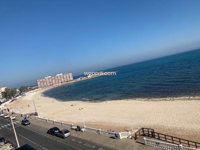 Apartamento en alquiler en Torrevieja, El Palmeral