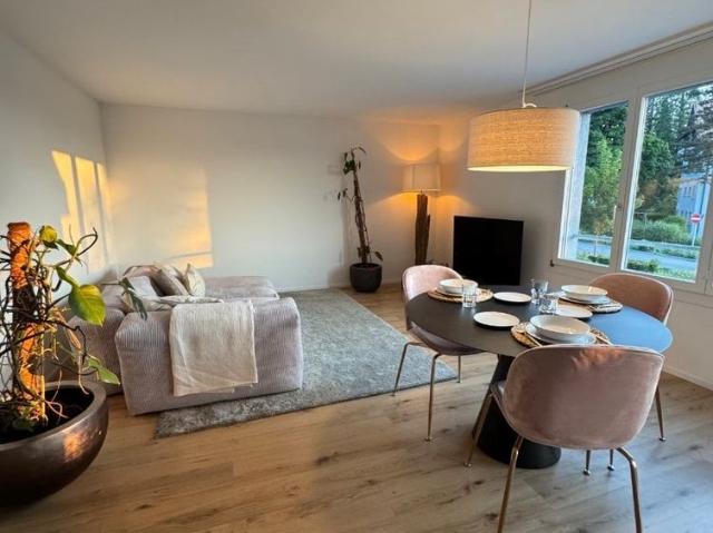 Apartment mieten in Brunnen, Ingenbohl