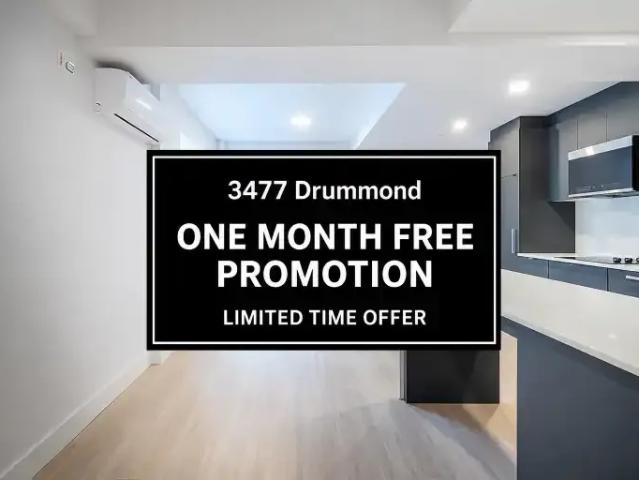 Apartment for rent in Ville-Marie, Montréal