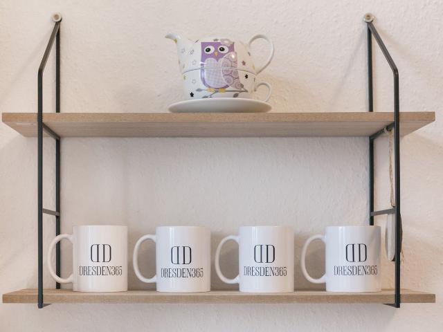 Apartment mieten in Pieschen, Dresden