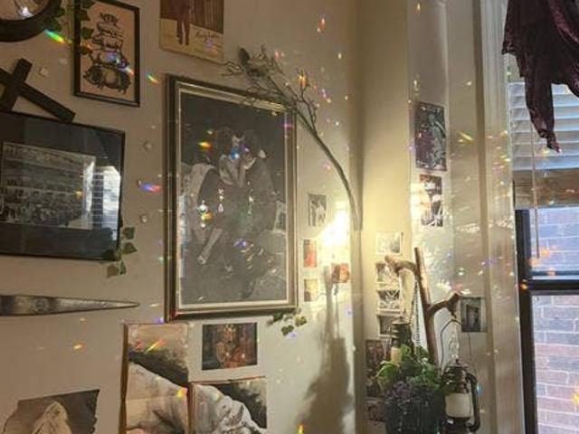 Room for rent in Ranch Triangle, Chicago