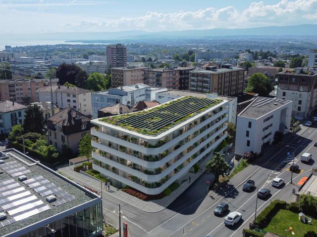Apartment kaufen
