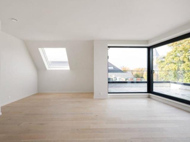 Kot location à Assenede, Oost-Vlaanderen