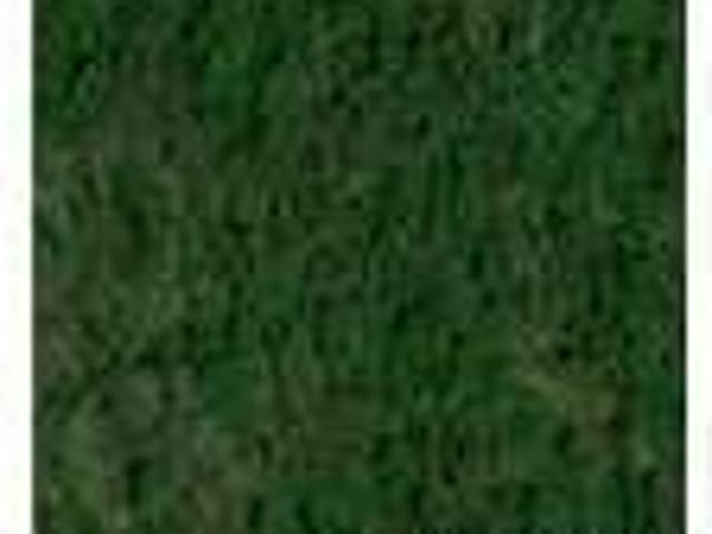 House for rent in Campton, Wolfe County