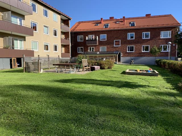 Lägenhet hyra i Umeå, Västerbotten