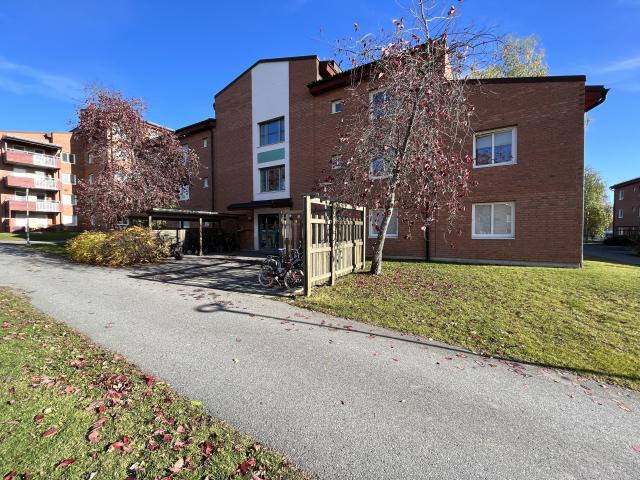 Lägenhet hyra i Skellefteå, Västerbotten