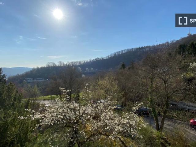 Apartment mieten in Stuttgart-Ost, Stuttgart