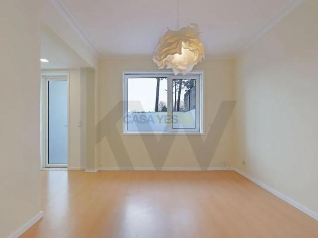 Apartamento alugar em Porto, Cedofeita