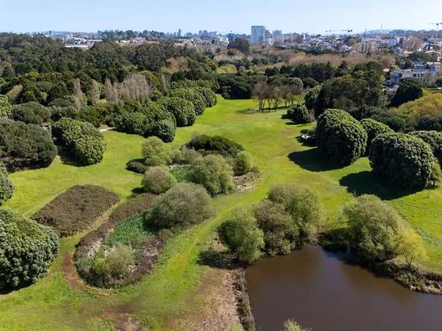 Apartamento alugar em Porto, Cedofeita