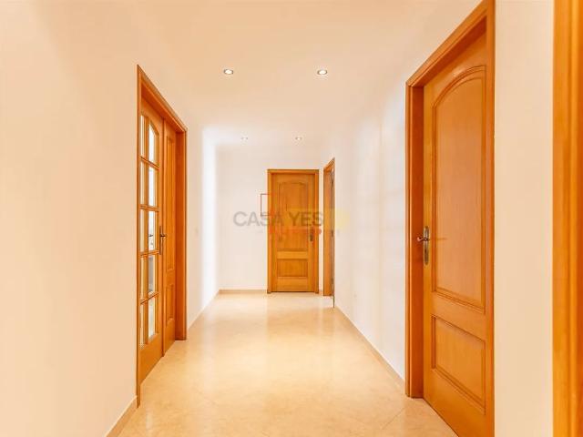 Apartamento alugar em Entroncamento, São João Baptista