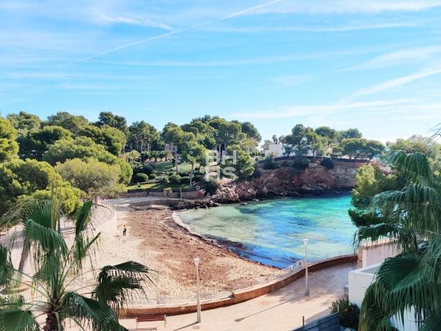 Apartamento en alquiler en Portals Nous, Magaluf