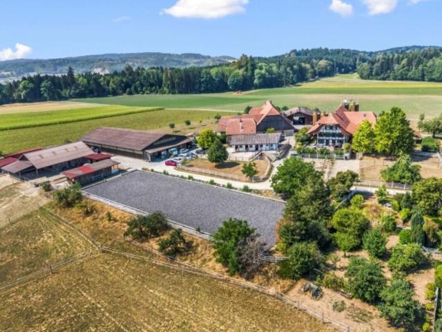 Apartment kaufen in Seewil, Rapperswil (BE)