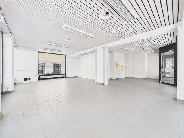 Apartment kaufen in Bellinzona, Tessin