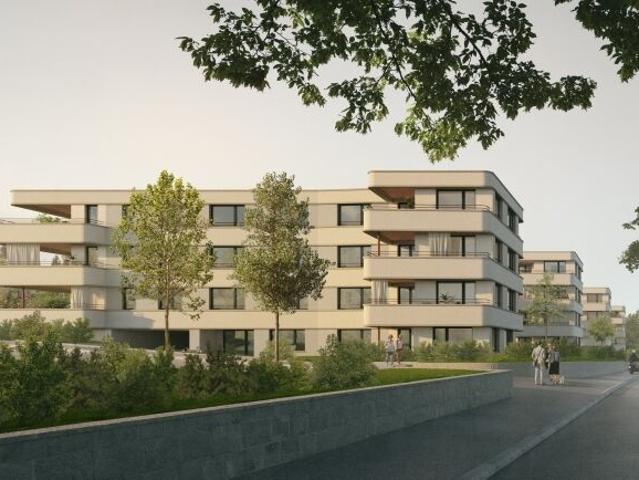Apartment kaufen in Sembrancher, Wallis