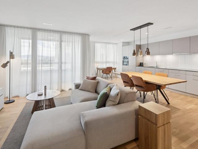 Apartment mieten in Spreitenbach, Aargau