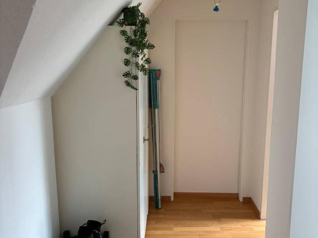 Apartment kaufen