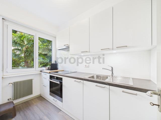 Apartment kaufen
