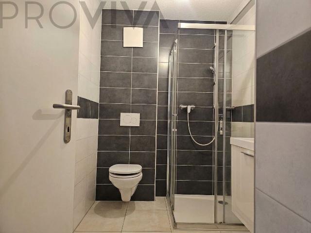 Apartment kaufen in Fully, Wallis