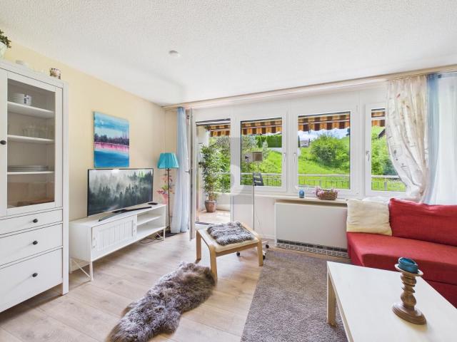 Apartment kaufen in Wildhaus-Alt St. Johann, St. Gallen