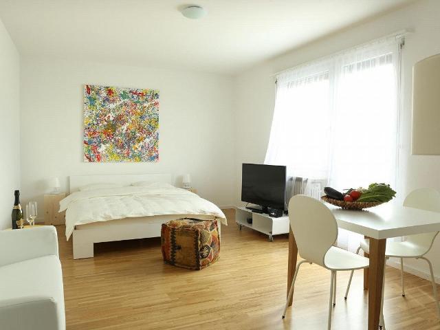 Apartment kaufen in Basel, Basel-Stadt