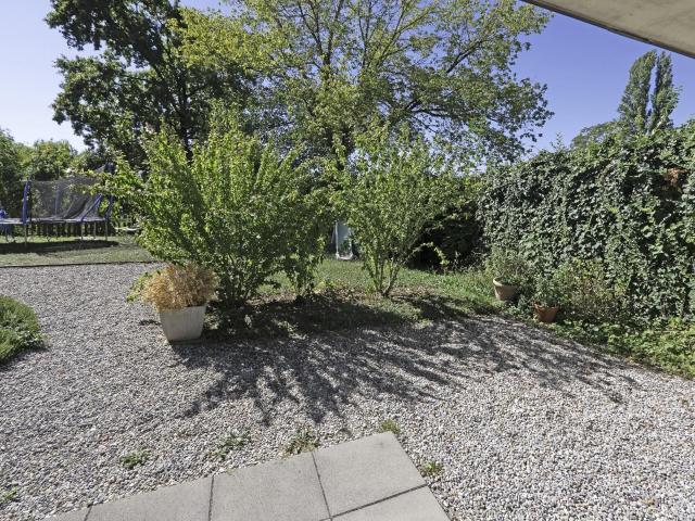 Apartment kaufen