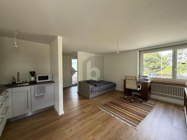 Apartment kaufen in Illnau-Effretikon, Zürich
