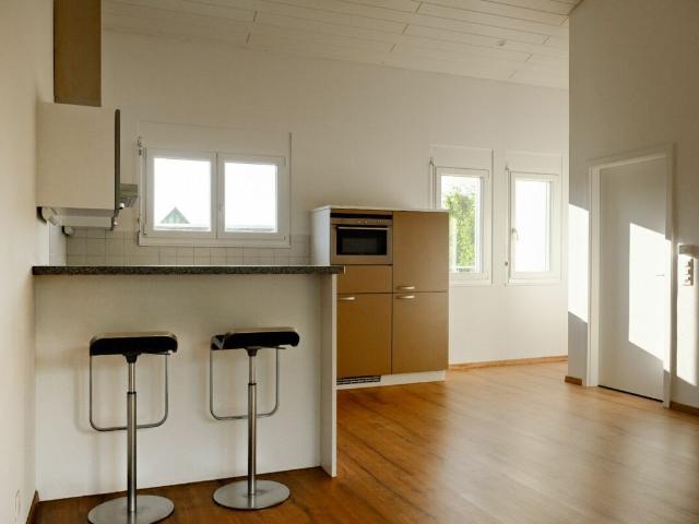 Apartment kaufen in Aesch (ZH), Zürich