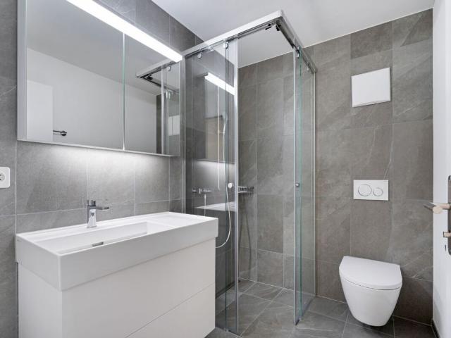 Apartment kaufen in Altstätten (SG), St. Gallen