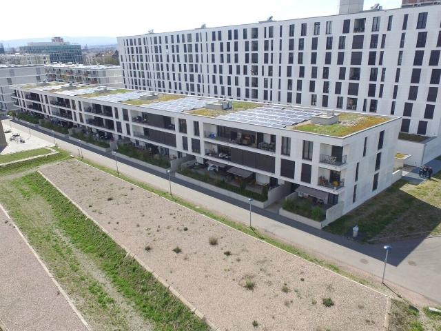 Apartment kaufen in Basel, Basel-Stadt