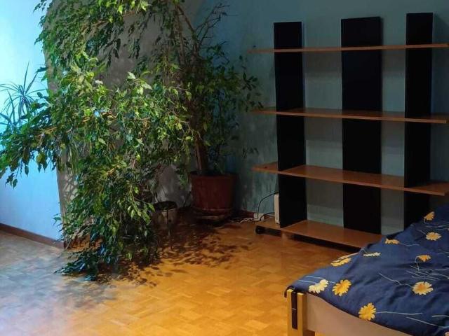 Apartment kaufen
