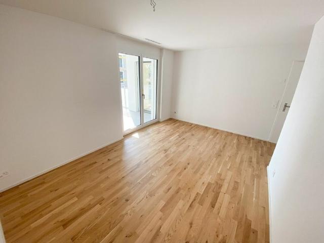 Apartment kaufen in Felben-Wellhausen, Thurgau
